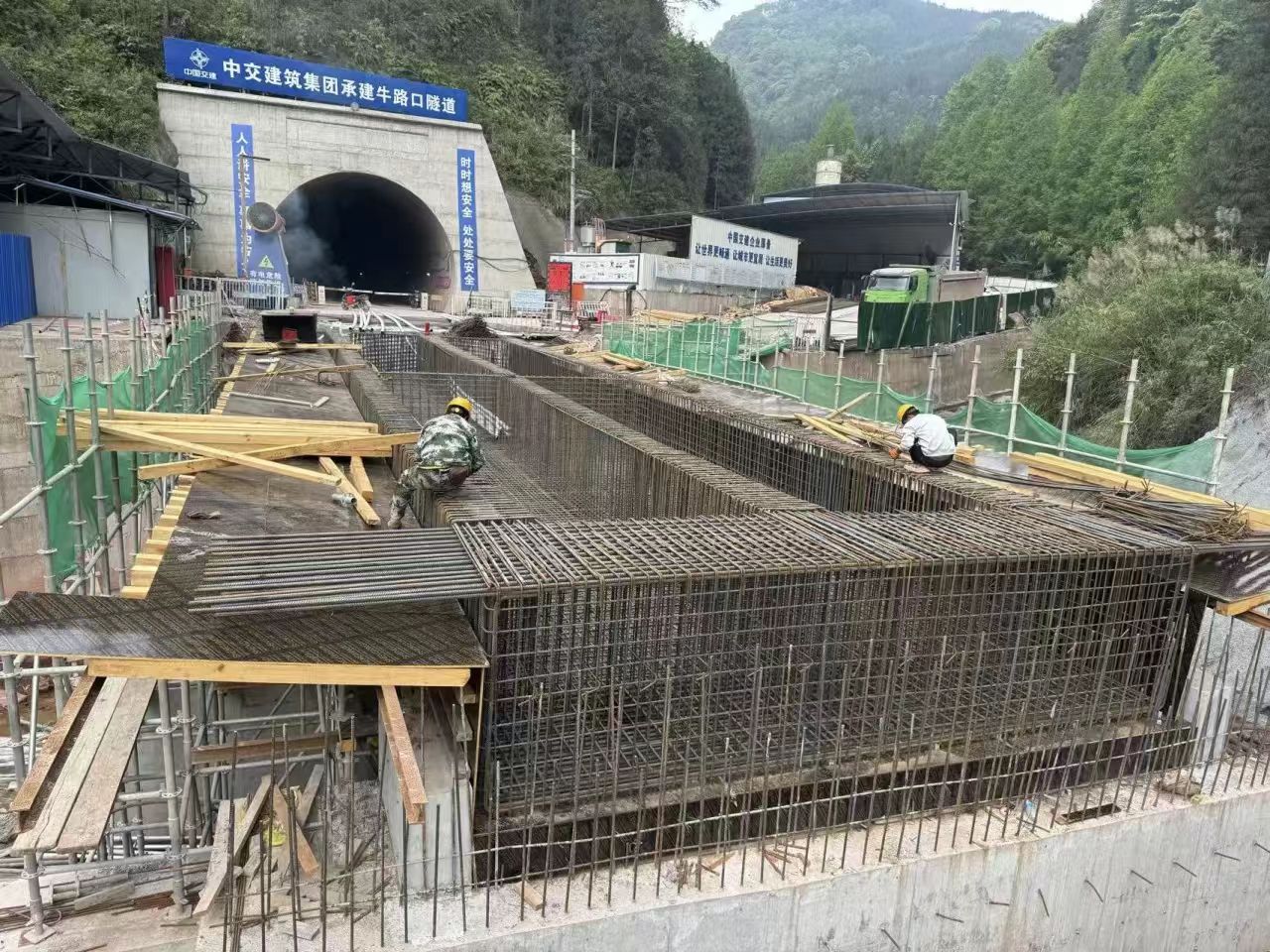 图片 图片