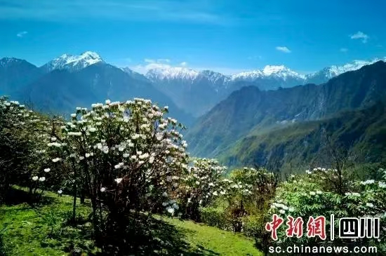 图片 图片