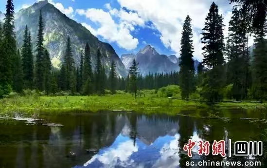图片 图片